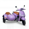 Leo Side Car